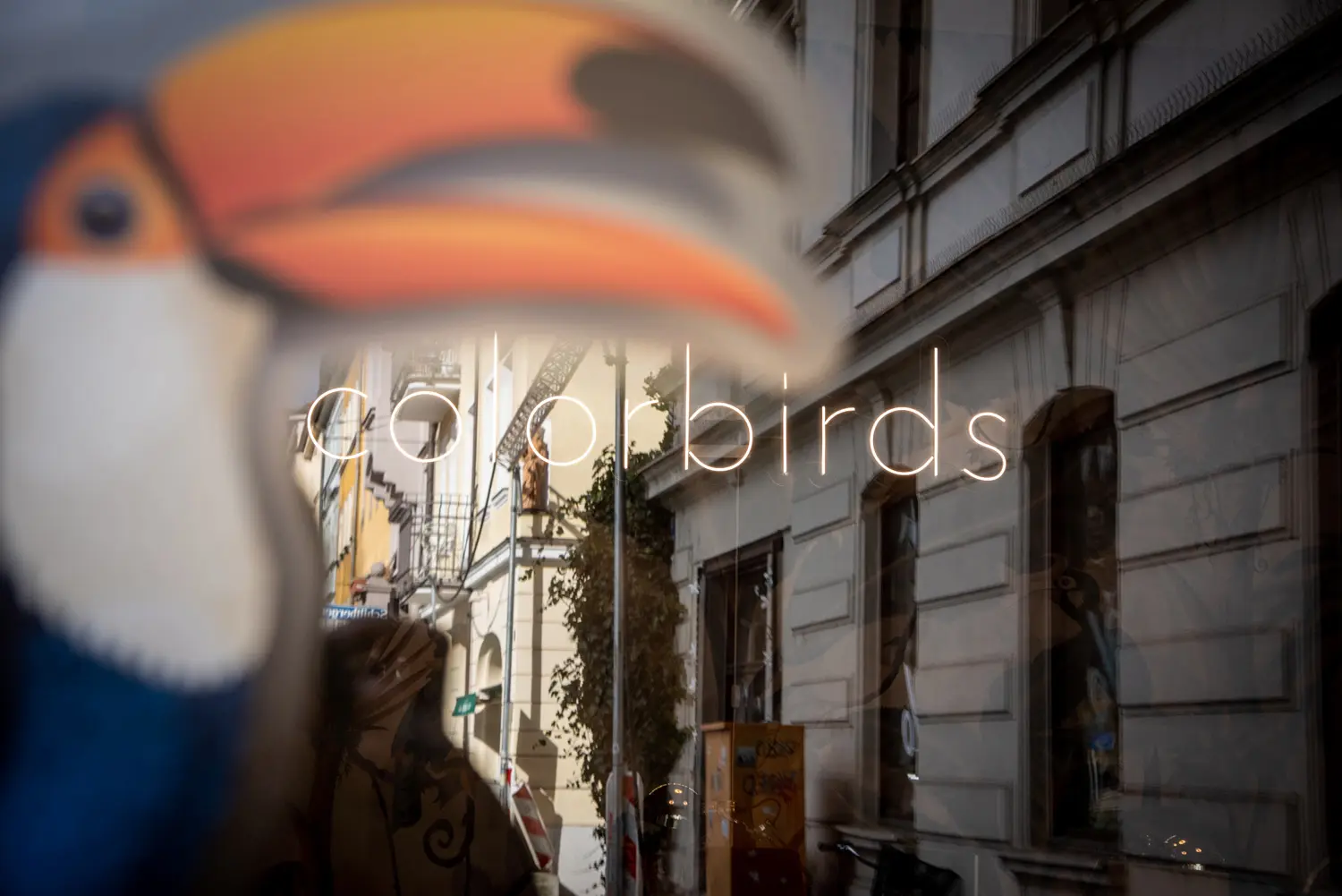 colorbirds - Foto von außen